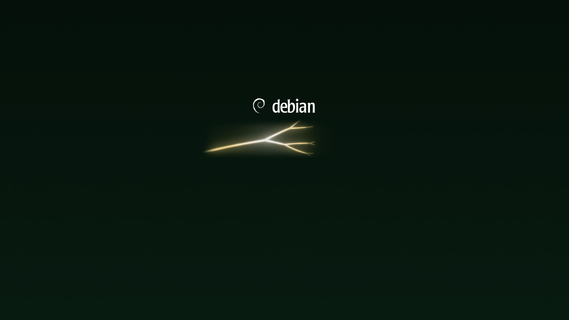 Boot splash halfway: the stream has reached the first fork and split.